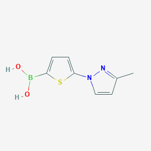Chemical structure of 5-(3-Methyl-1H-pyrazol-1-yl)thiophene-2-boronic acid