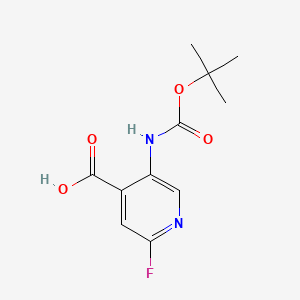 Chemical structure of 5-((tert-butoxycarbonyl)amino)-2-fluoroisonicotinic acid