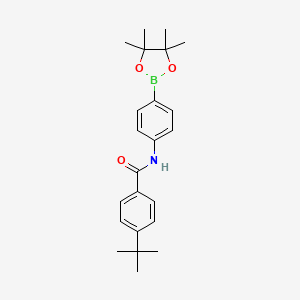 Chemical structure of 4-tert-butyl-N-[4-(4,4,5,5-tetramethyl-1,3,2-dioxaborolan-2-yl)phenyl]benzamide