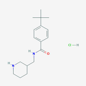 Chemical structure of 4-tert-butyl-N-(piperidin-3-ylmethyl)benzamide hydrochloride