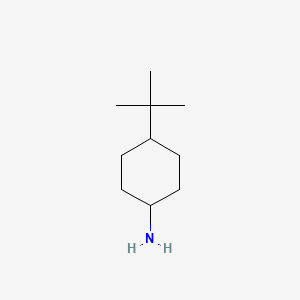 Chemical structure of 4-tert-Butylcyclohexylamine