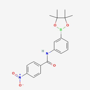 Chemical structure of 4-nitro-N-(3-(4,4,5,5-tetramethyl-1,3,2-dioxaborolan-2-yl)phenyl)benzamide