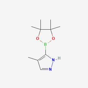 Chemical structure of 4-Methylpyrazole-5-boronic acid pinacol ester