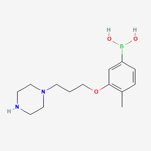 Chemical structure of 4-Methyl-3-(3-(piperazin-1-yl)propoxy)phenylboronic acid