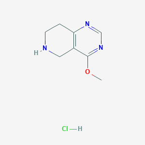 Chemical structure of 4-Methoxy-5,6,7,8-tetrahydropyrido[4,3-d]pyrimidine hydrochloride