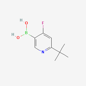 Chemical structure of 4-Fluoro-2-(tert-butyl)pyridine-5-boronic acid