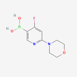 Chemical structure of 4-Fluoro-2-(morpholino)pyridine-5-boronic acid