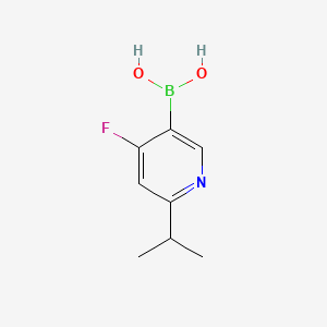Chemical structure of 4-Fluoro-2-(iso-propyl)pyridine-5-boronic acid