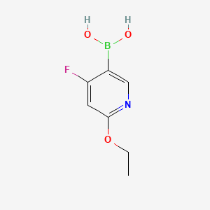 Chemical structure of 4-Fluoro-2-(ethoxy)pyridine-5-boronic acid