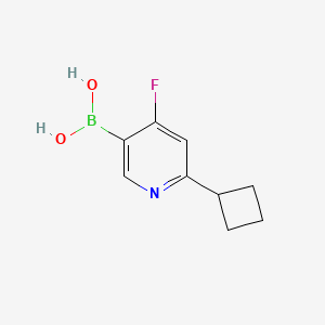 Chemical structure of 4-Fluoro-2-(cyclobutyl)pyridine-5-boronic acid