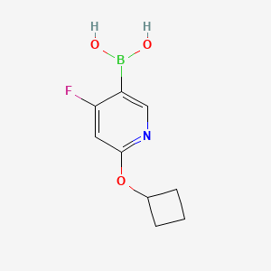 Chemical structure of 4-Fluoro-2-(cyclobutoxy)pyridine-5-boronic acid