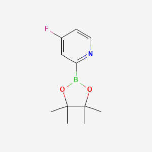 Chemical structure of 4-Fluoropyridine-2-boronic acid pinacol ester
