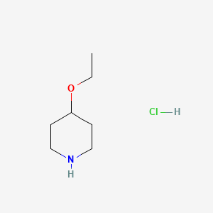 Chemical structure of 4-Ethoxypiperidine Hydrochloride
