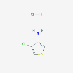 Chemical structure of 4-Chlorothiophen-3-amine hydrochloride