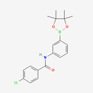 Chemical structure of 4-Chloro-N-[3-(4,4,5,5-tetramethyl-1,3,2-dioxaborolan-2-yl)phenyl]benzamide
