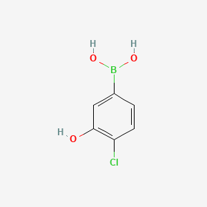 Chemical structure of 4-Chloro-3-hydroxyphenylboronic Acid