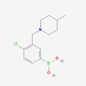 Chemical structure of 4-Chloro-3-((4-methylpiperidin-1-yl)methyl)phenyl)boronic acid