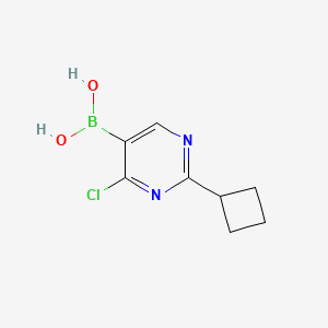 Chemical structure of 4-Chloro-2-(cyclobutyl)pyrimidine-5-boronic acid