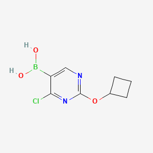 Chemical structure of 4-Chloro-2-(cyclobutoxy)pyrimidine-5-boronic acid