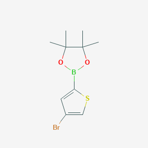 Chemical structure of 4-Bromothiophene-2-boronic acid pinacol ester