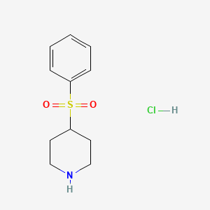 Chemical structure of 4-Benzenesulfonylpiperidine Hydrochloride