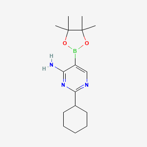 Chemical structure of 4-Amino-2-(cyclohexyl)pyrimidine-5-boronic acid pinacol ester