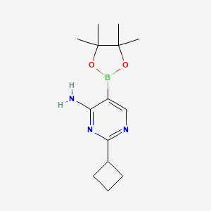 Chemical structure of 4-Amino-2-(cyclobutyll)pyrimidine-5-boronic acid pinacol ester