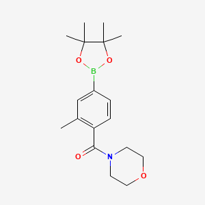 Chemical structure of 4-[2-methyl-4-(4,4,5,5-tetramethyl-1,3,2-dioxaborolan-2-yl)benzoyl]morpholine