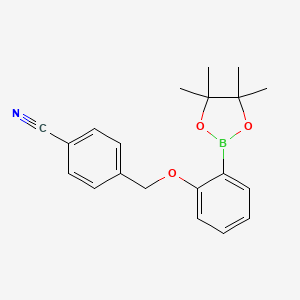 Chemical structure of 4-[2-(4,4,5,5-Tetramethyl-[1,3,2]dioxaborolan-2-yl)-phenoxymethyl]-benzonitrile