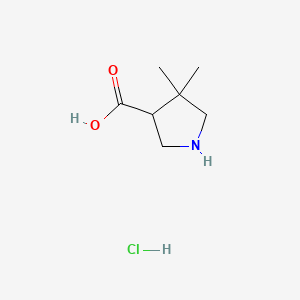 Chemical structure of 4,4-Dimethylpyrrolidine-3-carboxylic acid hydrochloride