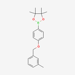 Chemical structure of 4,4,5,5-tetramethyl-2-{4-[(3-methylphenyl)methoxy]phenyl}-1,3,2-dioxaborolane