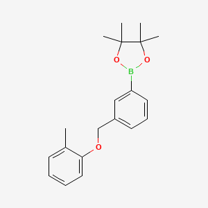 Chemical structure of 4,4,5,5-tetramethyl-2-{3-[(2-methylphenoxy)methyl]phenyl}-1,3,2-dioxaborolane