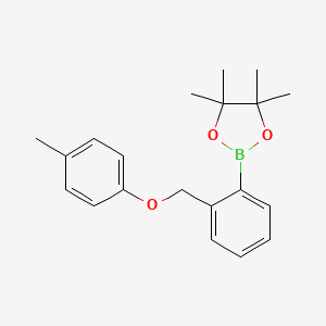 Chemical structure of 4,4,5,5-tetramethyl-2-{2-[(4-methylphenoxy)methyl]phenyl}-1,3,2-dioxaborolane