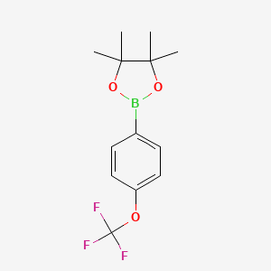 Chemical structure of 4,4,5,5-tetramethyl-2-[4-(trifluoromethoxy)phenyl]-1,3,2-dioxaborolane