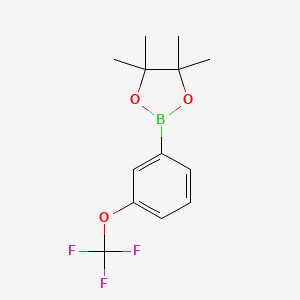 Chemical structure of 4,4,5,5-Tetramethyl-2-[3-(trifluoromethoxy)phenyl]-1,3,2-dioxaborolane