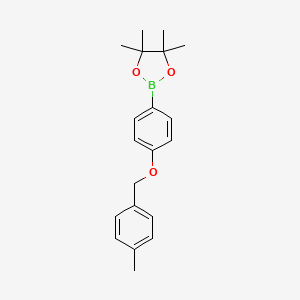 Chemical structure of 4,4,5,5-tetramethyl-2-(4-((4-methylbenzyl)oxy)phenyl)-1,3,2-dioxaborolane