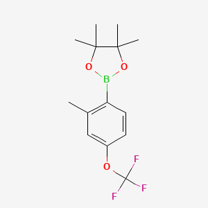 Chemical structure of 4,4,5,5-Tetramethyl-2-(2-methyl-4-(trifluoromethoxy)phenyl)-1,3,2-dioxaborolane