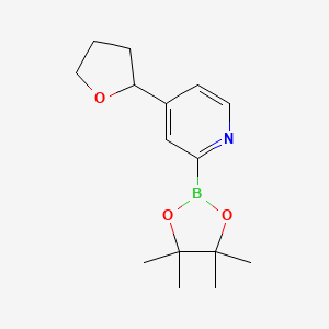 Chemical structure of 4-(tetrahydrofuran-2-yl)-2-(4,4,5,5-tetramethyl-1,3,2-dioxaborolan-2-yl)pyridine