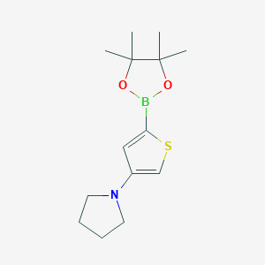 Chemical structure of 4-(Pyrrolidino)thiophene-2-boronic acid pinacol ester