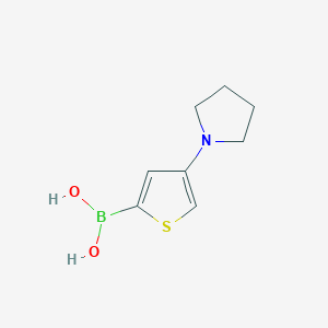 Chemical structure of 4-(Pyrrolidino)thiophene-2-boronic acid