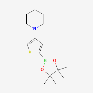 Chemical structure of 4-(Piperidino)thiophene-2-boronic acid pinacol ester