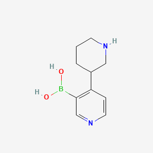 Chemical structure of 4-(Piperidin-3-yl)pyridine-3-boronic acid