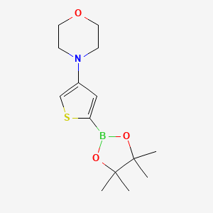 Chemical structure of 4-(Morpholino)thiophene-2-boronic acid pinacol ester