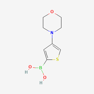 Chemical structure of 4-(Morpholino)thiophene-2-boronic acid