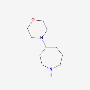 Chemical structure of 4-(Morpholin-4-yl)azepane