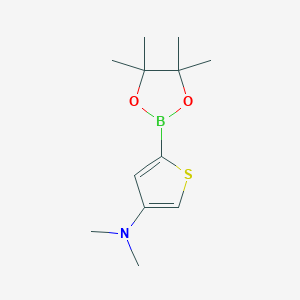 Chemical structure of 4-(Dimethylamino)thiophene-2-boronic acid pinacol ester