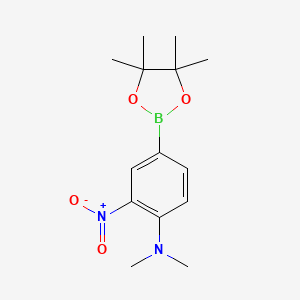 Chemical structure of 4-(Dimethylamino)-3-nitrophenylboronic acid pinacol ester