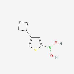 Chemical structure of 4-(Cyclobutyl)thiophene-2-boronic acid