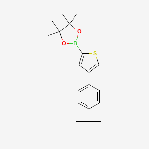 Chemical structure of 4-(4-tert-Butylphenyl)thiophene-2-boronic acid pinacol ester