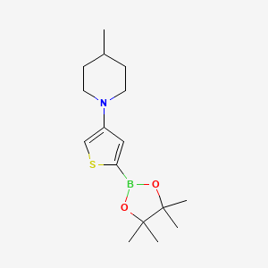 Chemical structure of 4-(4-Methylpiperidin-1-yl)thiophene-2-boronic acid pinacol ester